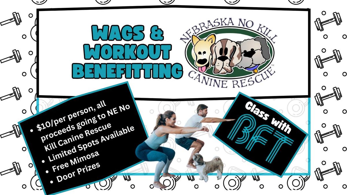 Wags & Workout with Body Fit Training Benefitting NE No K*ll!