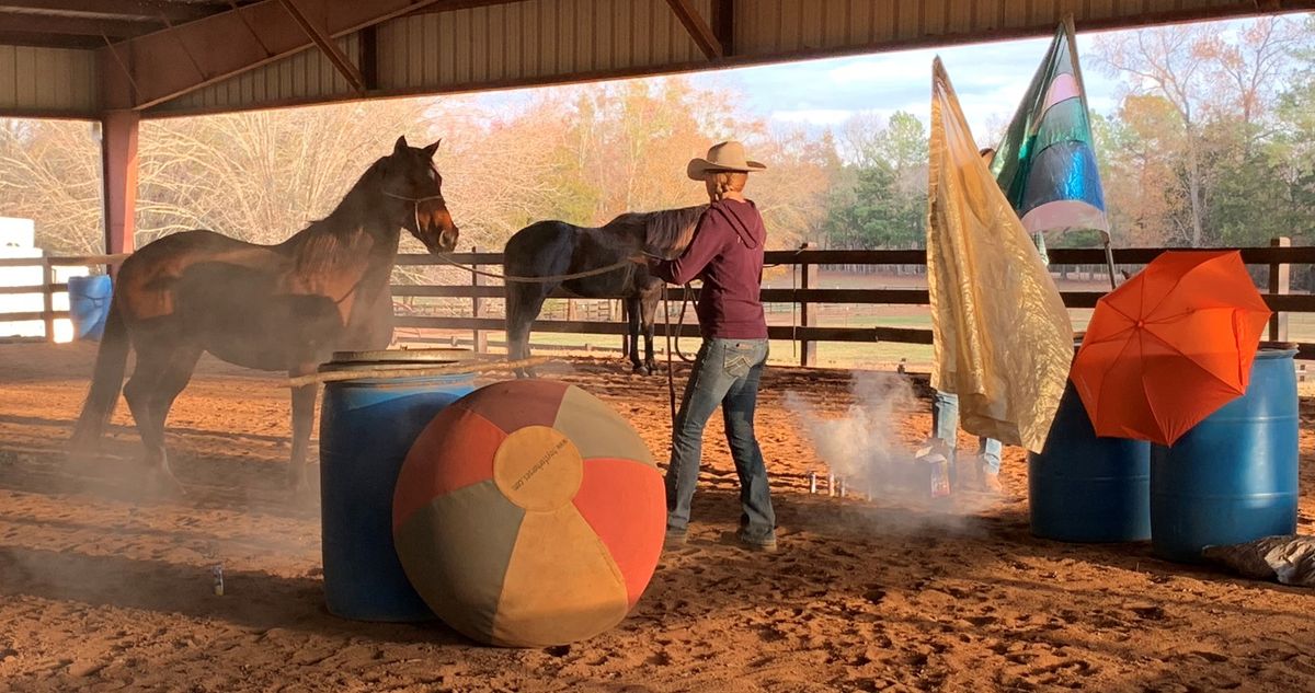 De-Spooking Your Horse Clinic