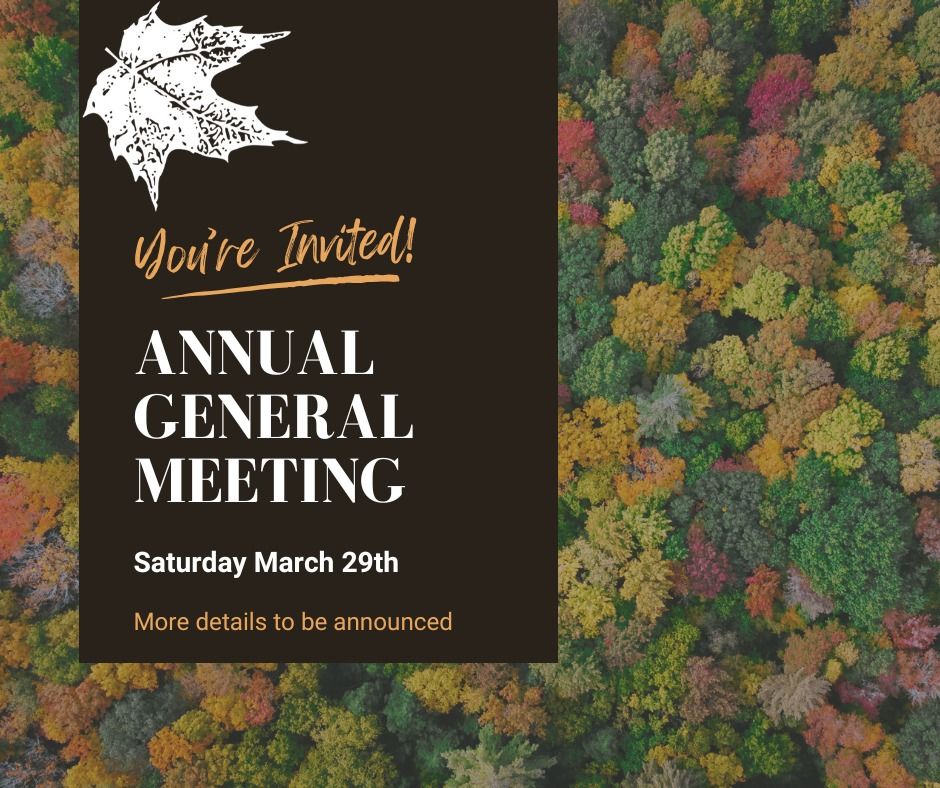 Annual General Meeting