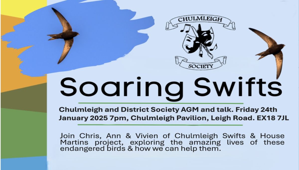 AGM & Talk on Swift Conservation Project