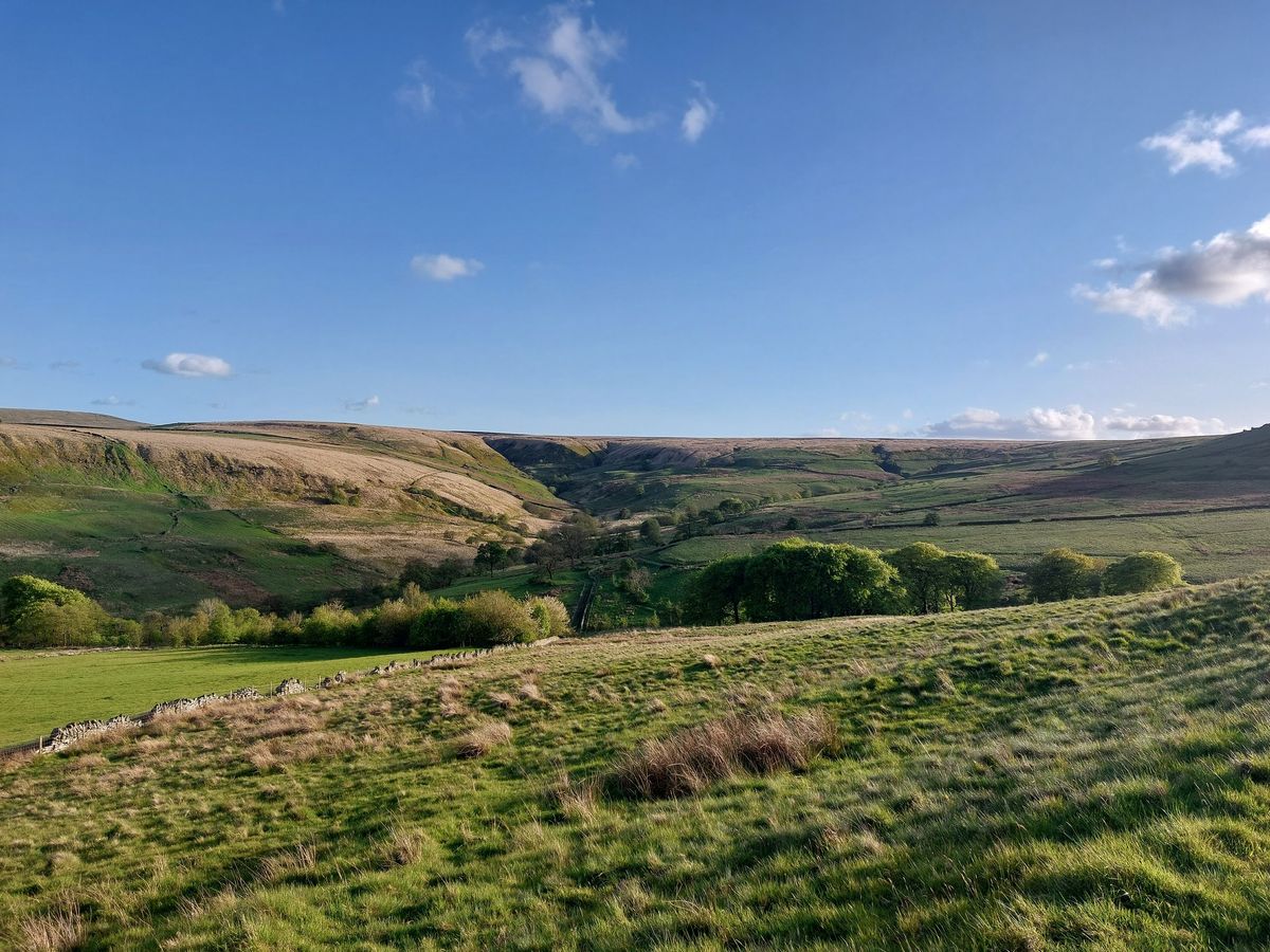 Holcombe Moor Hike