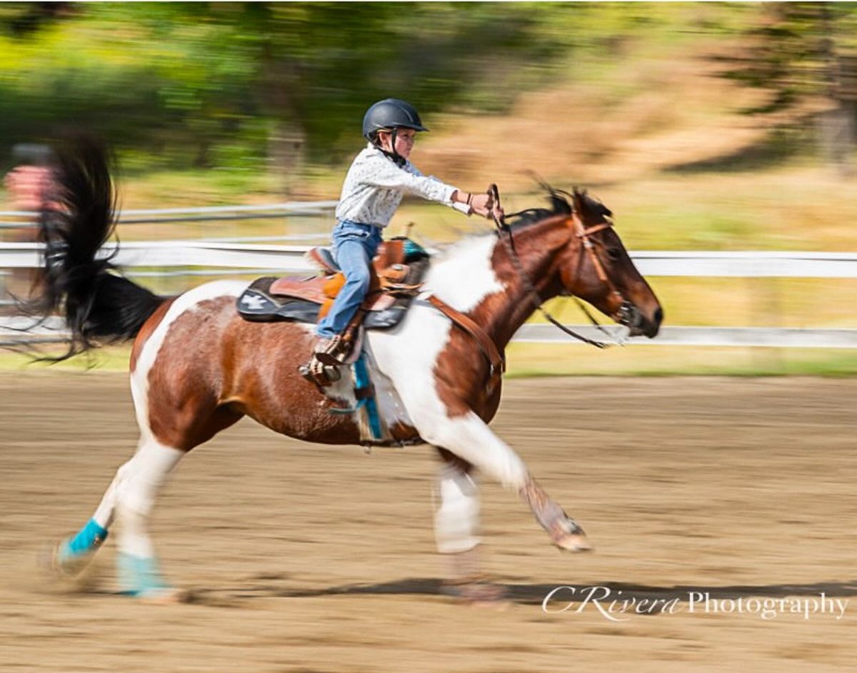 April Gymkhana 