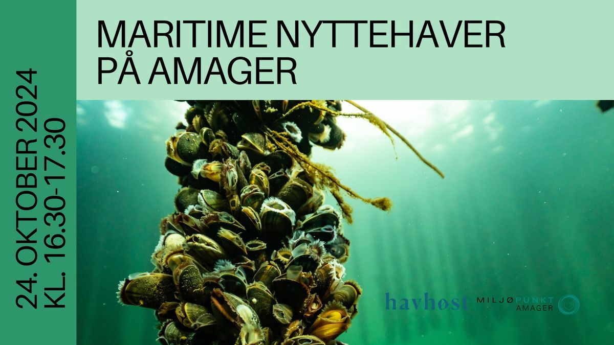 Inspirationsm\u00f8de: Maritime Nyttehaver p\u00e5 Amager \ud83d\udc1a\ud83c\udf0a