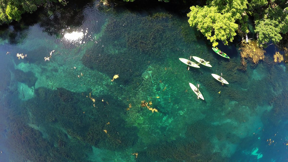 Spring Lake Guided Stand-up Paddling Tours