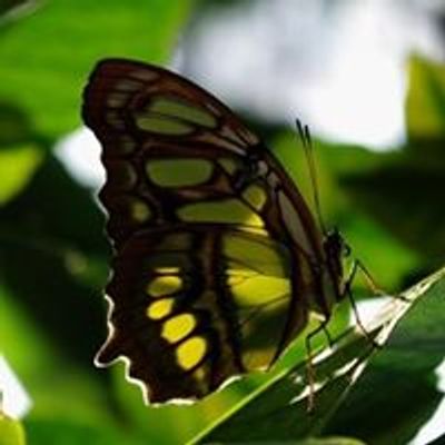 Botanischer Garten Augsburg