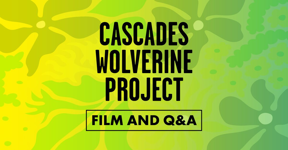 Cascade Wolverine Project Film and Q&A