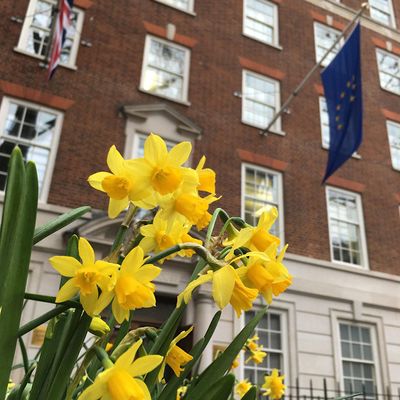 European Parliament Liaison Office in the UK