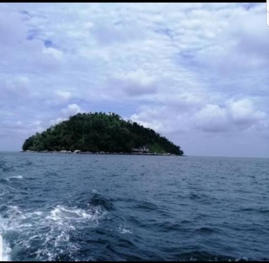 menjejak jenahak kerapu pulau jarak