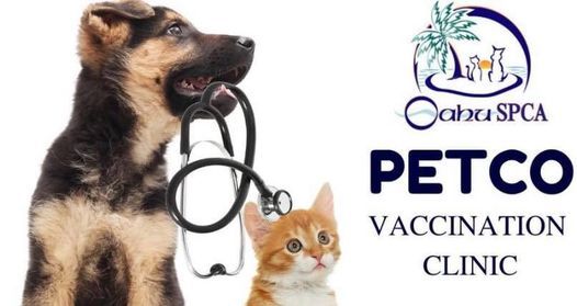 Petco Vaccine Clinic, Waikele, Petco, Waipahu, 28 March 2021