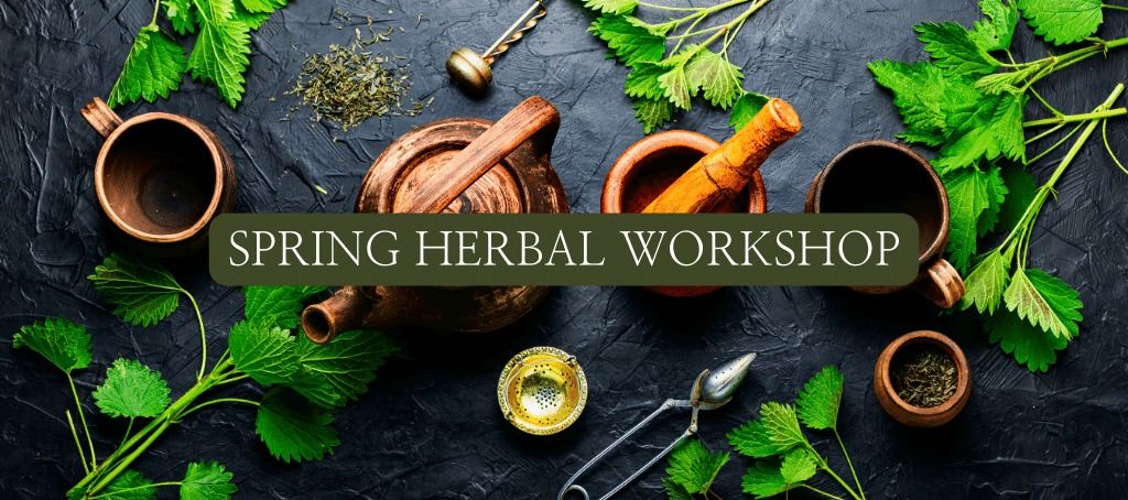 Spring Herb Workshop - herbs for vitality and a new season