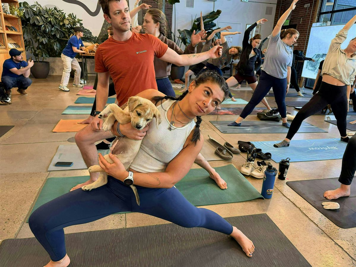 Rescue Puppy Yoga w\/Vibe Yoga @ Rivian