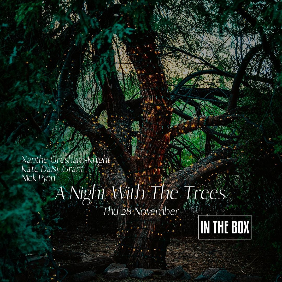 A Night With The Trees: Xanthe Gresham-Knight, Kate Daisy Grant and Nick Pynn - In The Box Festival