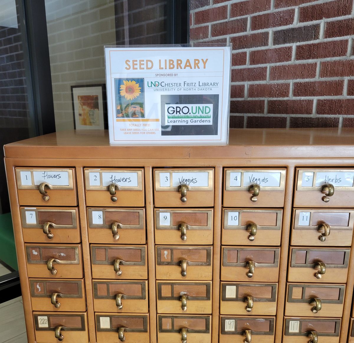 Seed collecting at the GRO.UND garden (on UND campus)