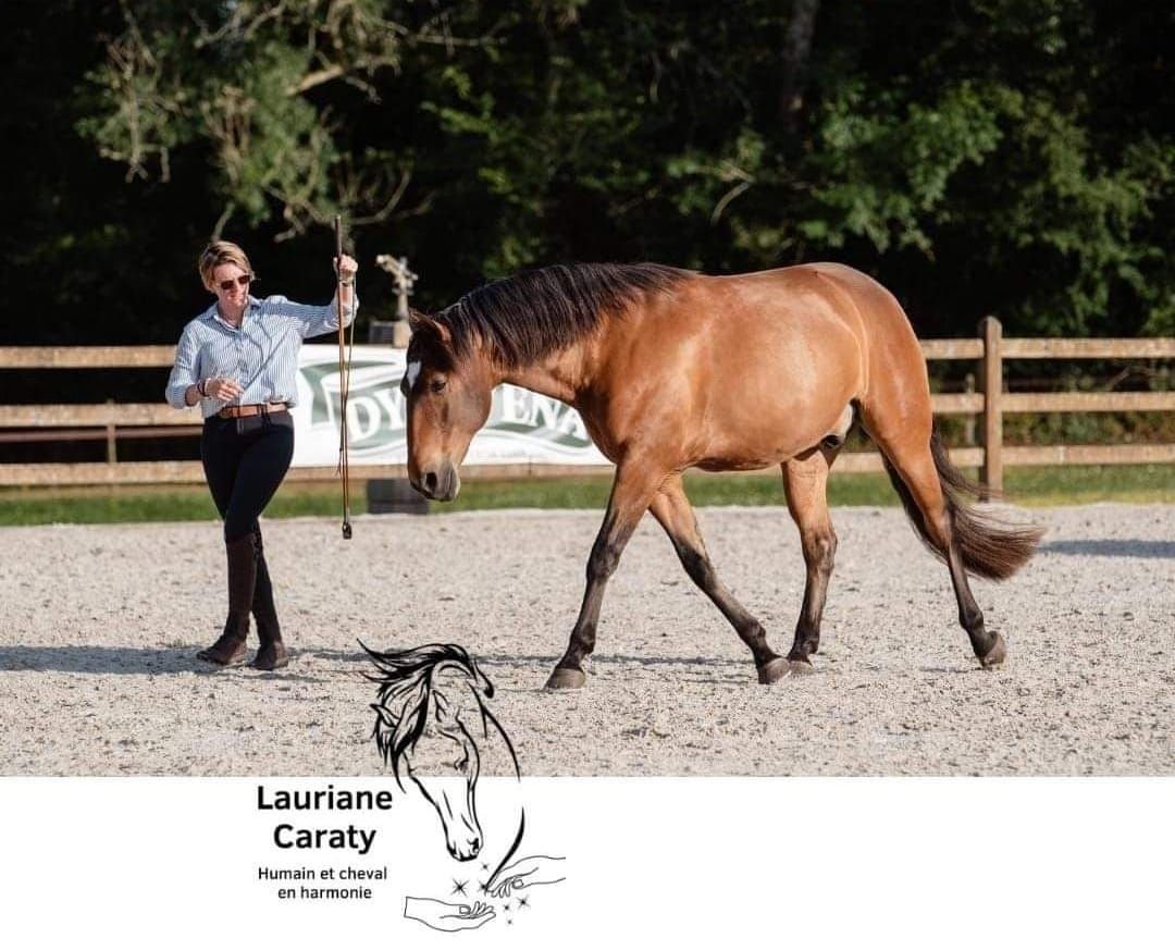 Stage "Humain et cheval en harmonie" avec Lauriane Caraty le 3 et 4 Mai 2025