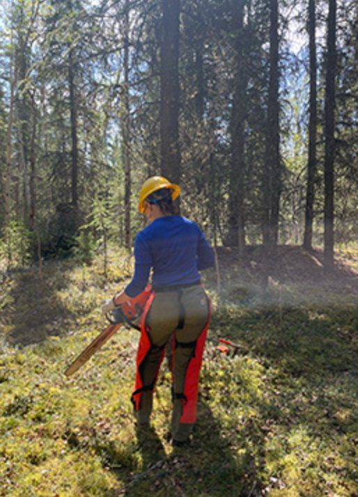 Introduction to Chainsaws for Women