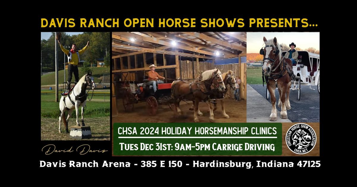 CHSA 2024 Holiday Carriage Driving Clinic with David Davis