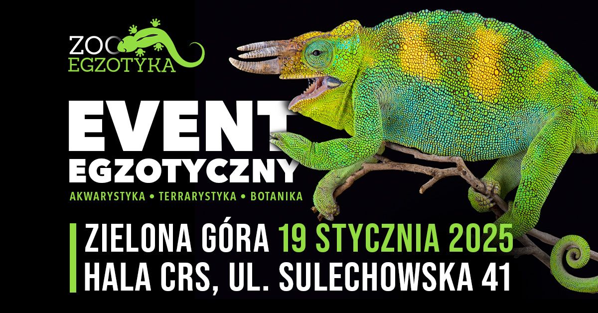 ZooEgzotyka Zielona G\u00f3ra - 19 stycznia 2025r.