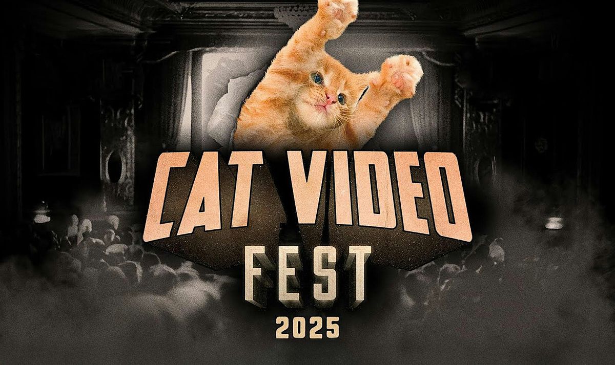 CatVideoFest 2025