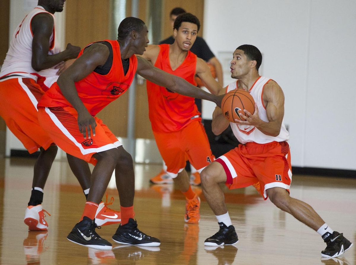 Western Oregon Wolves at Oregon State Beavers Mens Basketball at Gill Coliseum