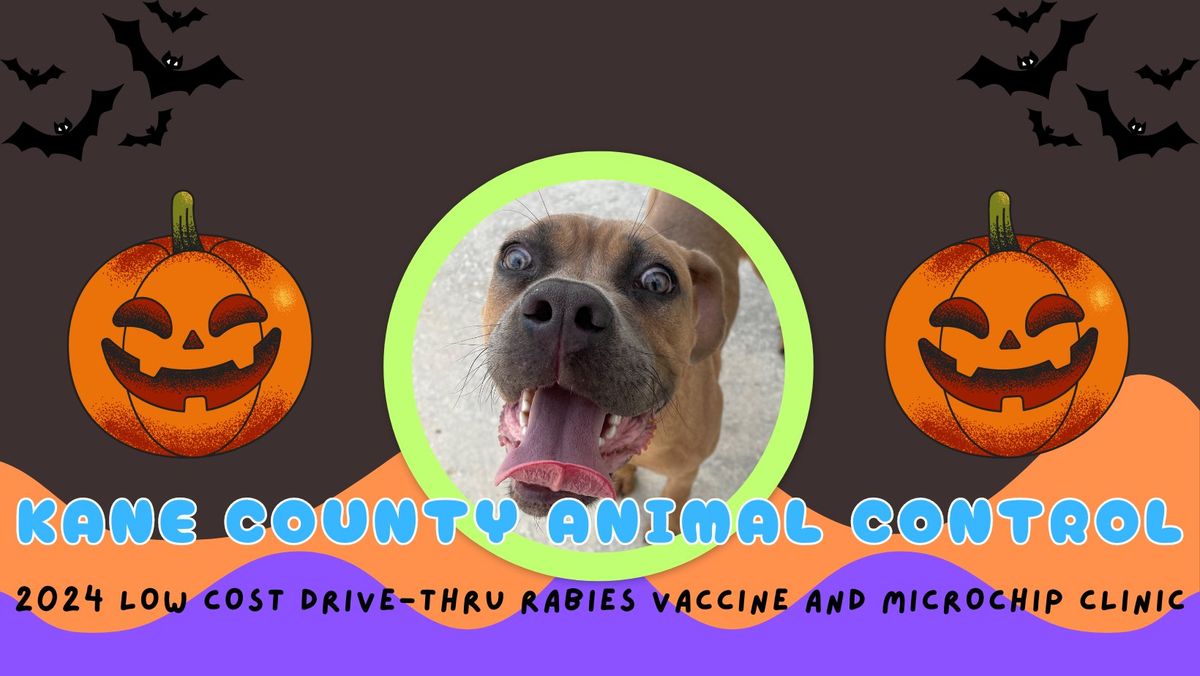 Low Cost Drive-Thru Rabies Vaccine and Microchip Clinic