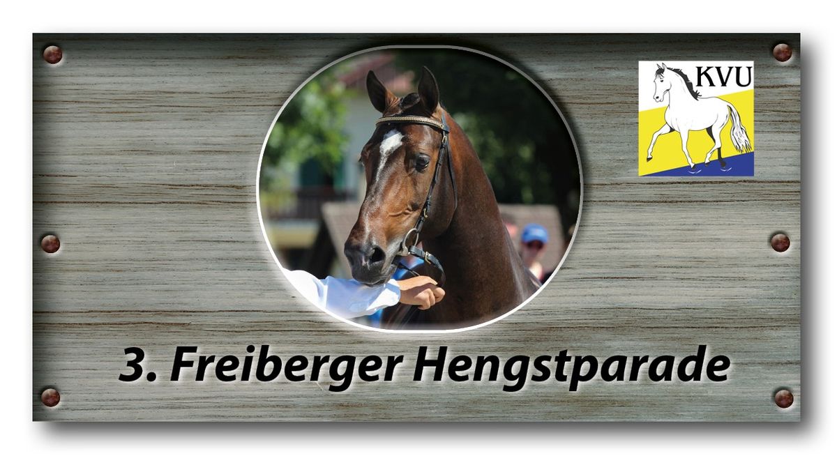 Freiberger Hengstparade Diepoldsau