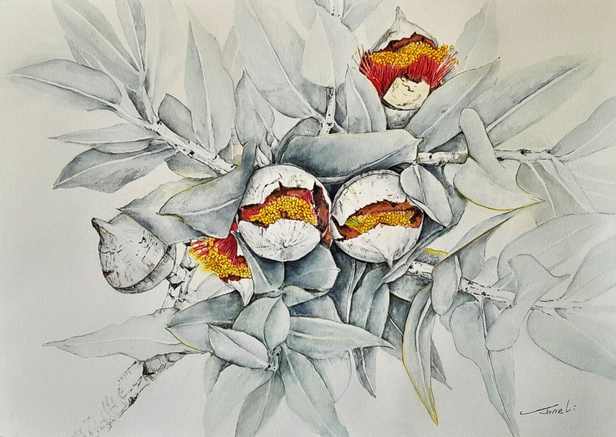 Botanical drawing and painting with Jane Li