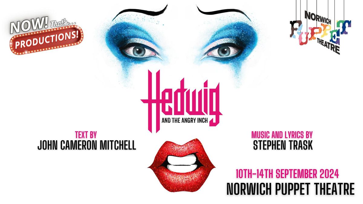 Hedwig And The Angry Inch - Norwich Puppet Theatre
