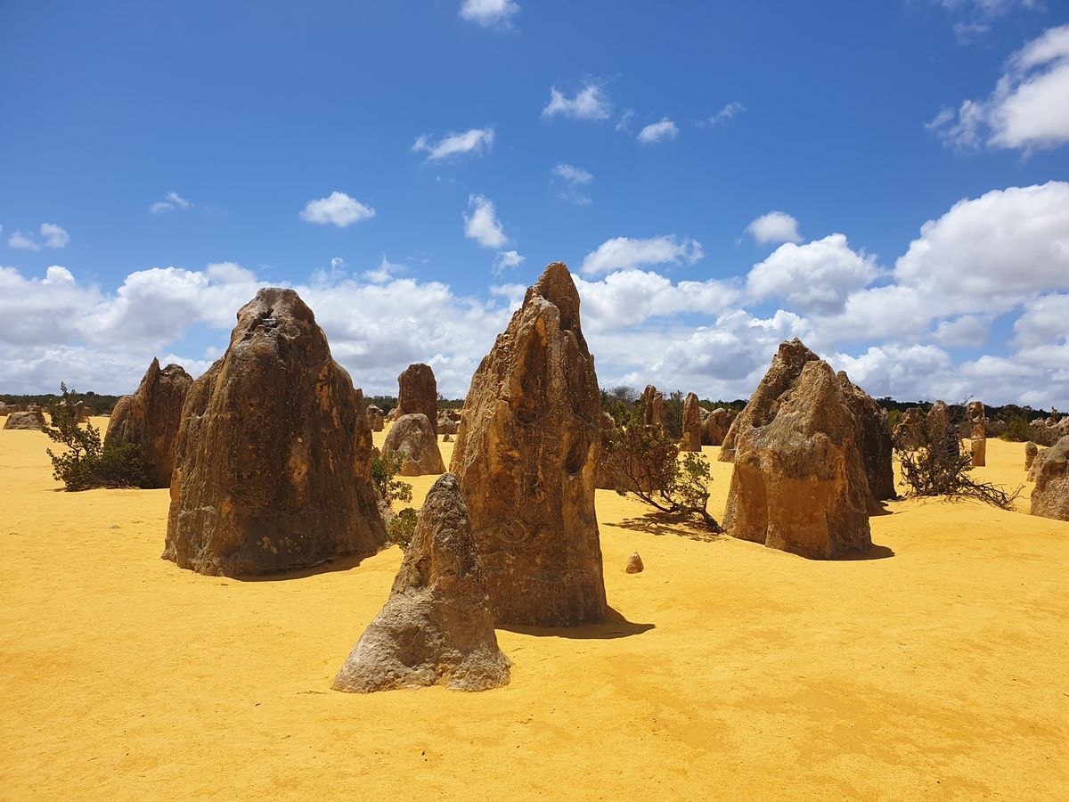 The Pinnacles Day Tour 