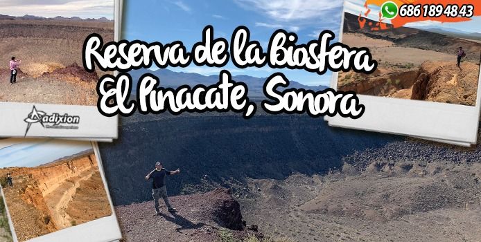 Reserva Biosfera del Pinacate y el Gran Desierto de Altar, Sonora