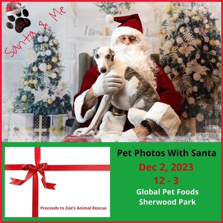 Santa Photos 