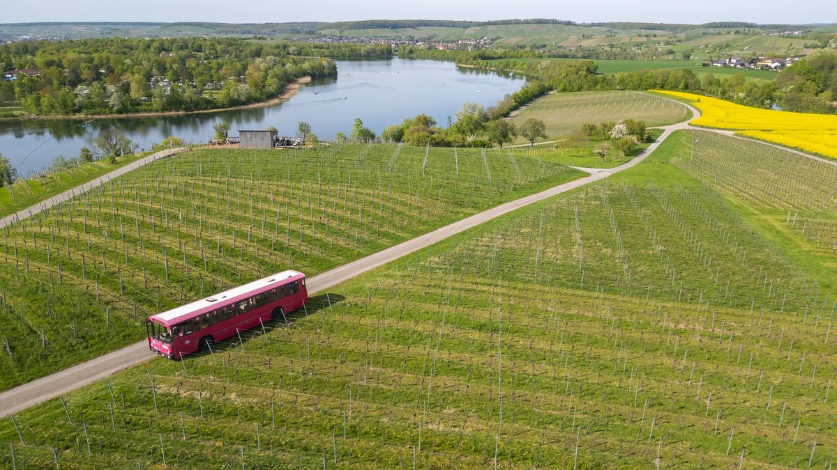 Weinberghopping im Oldtimerbus