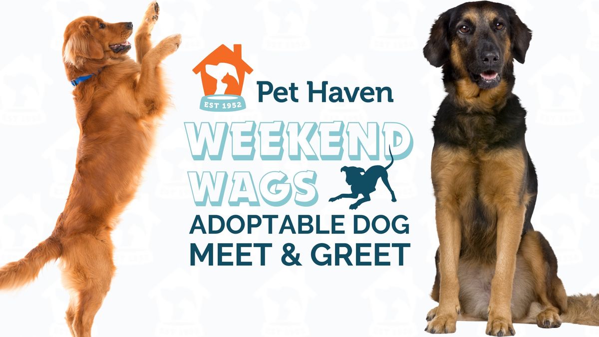 Weekend Wags! Adoptable Dog Meet!