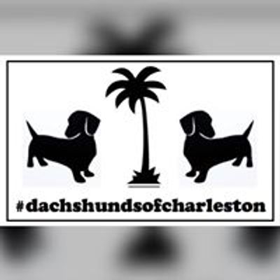 Dachshunds of Charleston