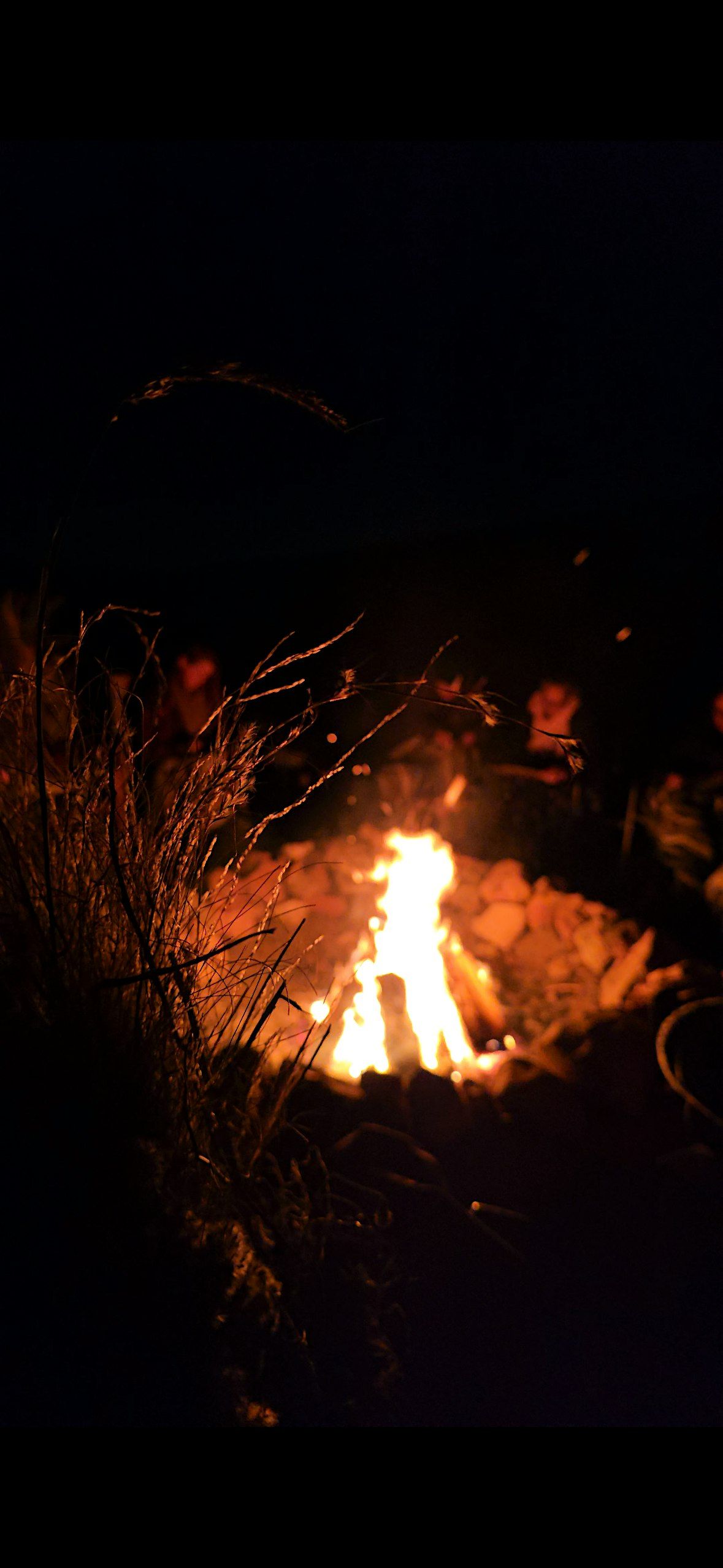 Silent Night ~ Winter Solstice Ceremony