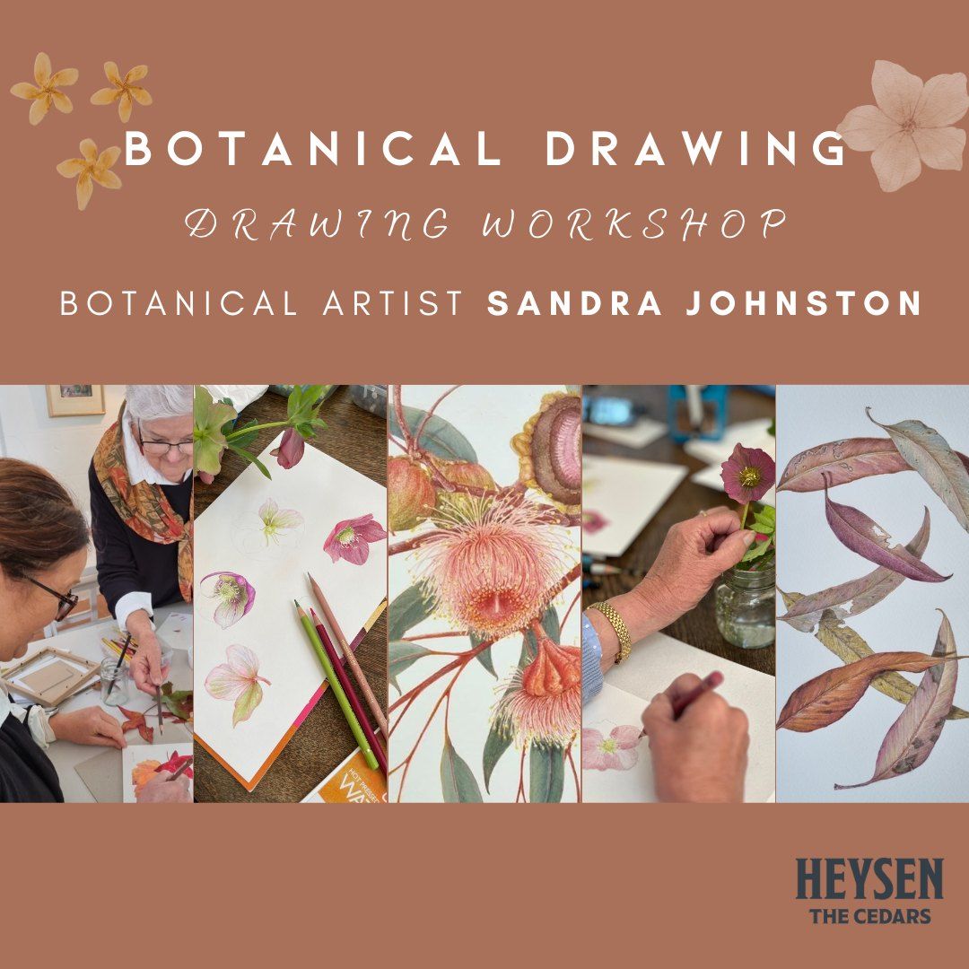 Botanical Drawing Workshop with Sandra Johnston