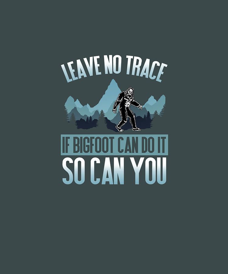 Leave No Trace (Bigfoot)