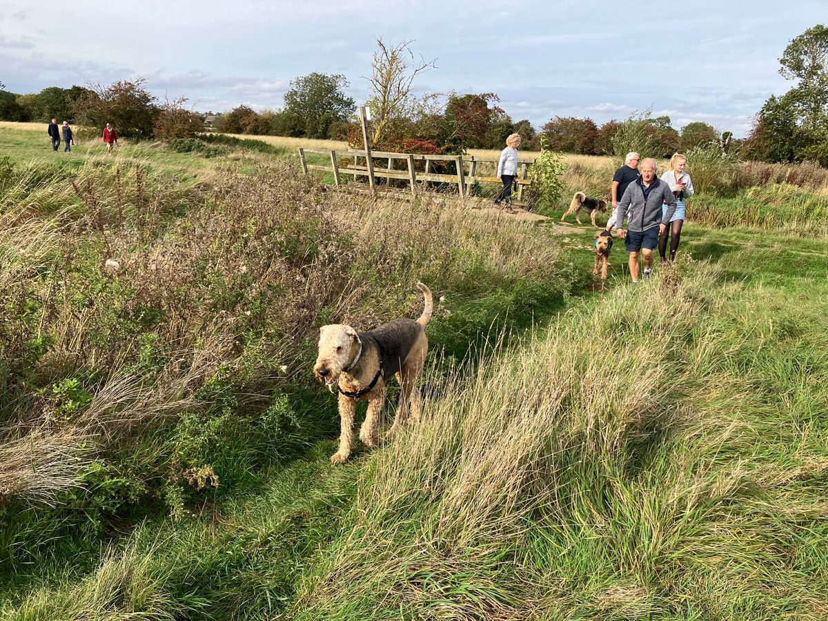 Hockley Woods Essex Mert