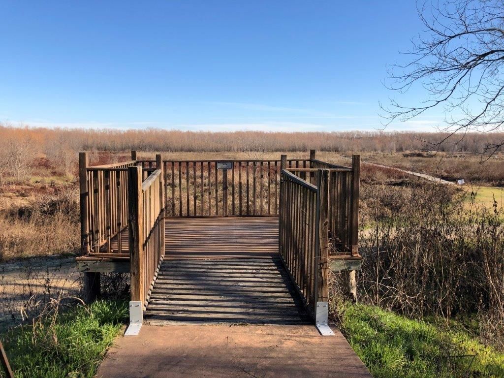 Waco Walk: Lake Waco Wetlands 