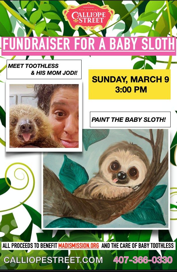 FUNDRAISER FOR A BABY SLOTH!- Meet Toothless, the Baby Sloth & Paint