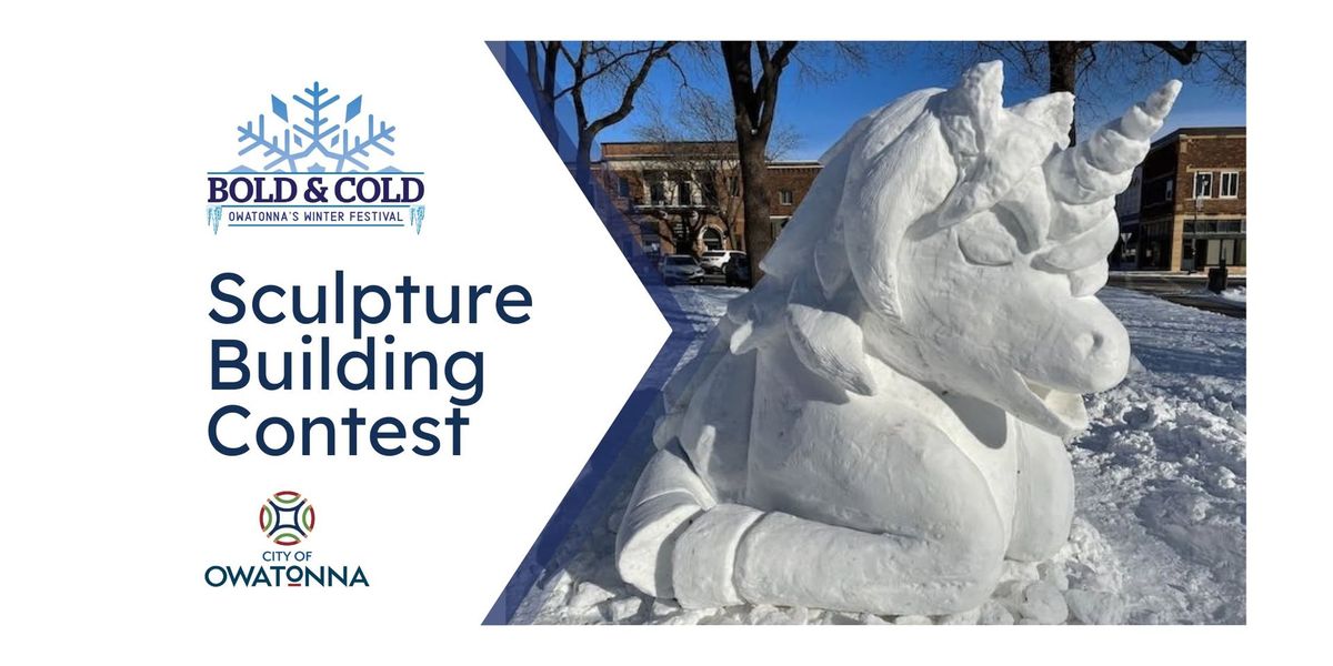 Sculpture Building Contest