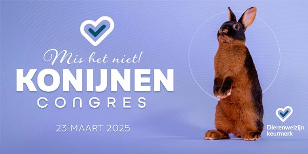 Het Konijnencongres 2025!