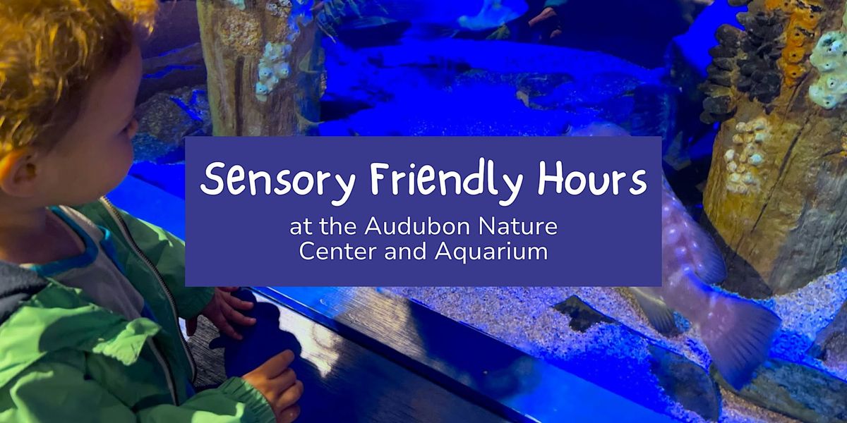 Sensory Friendly Hours at Audubon