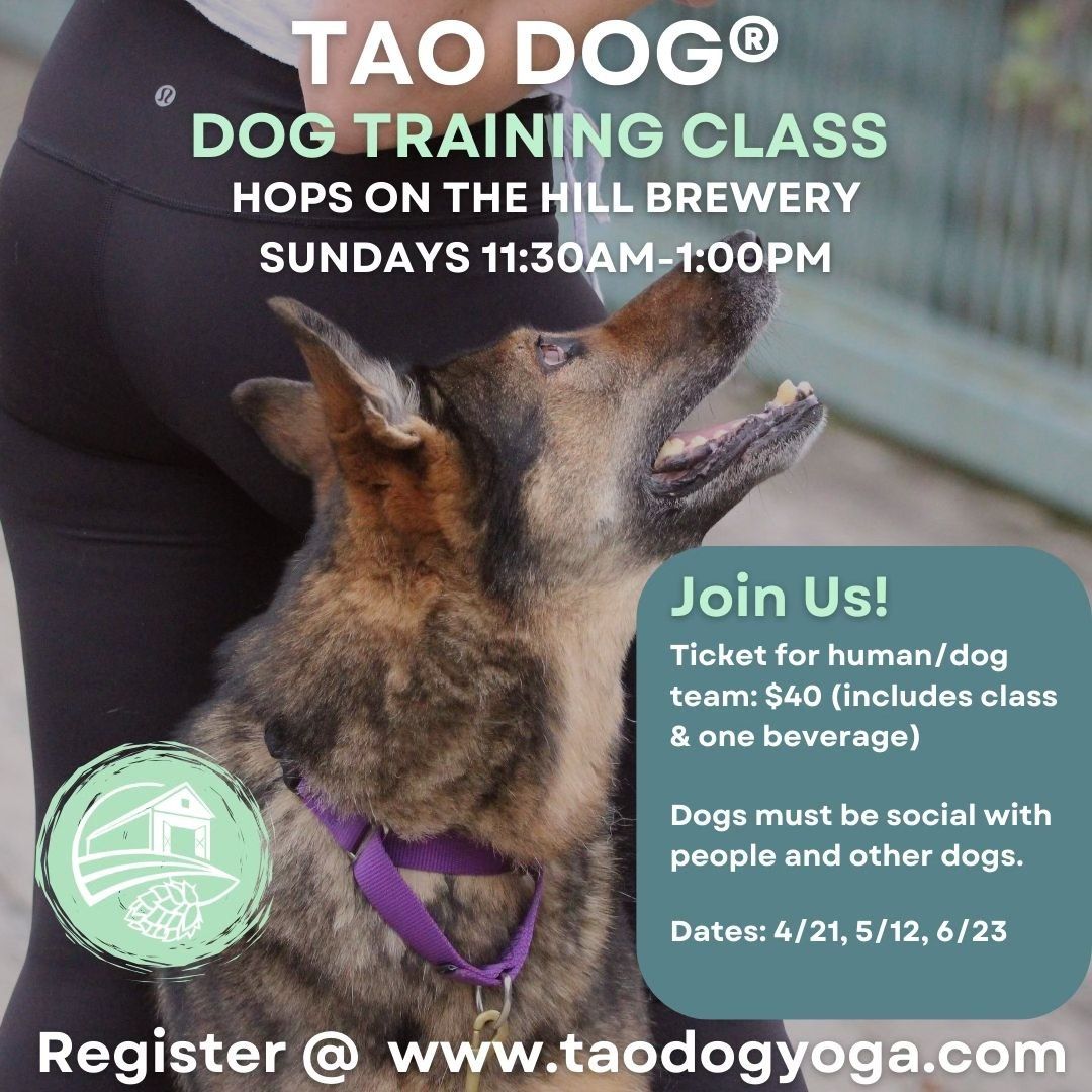 TAO DOG\u00ae Event: Dog Training Classes @ Hops On The Hill Brewery