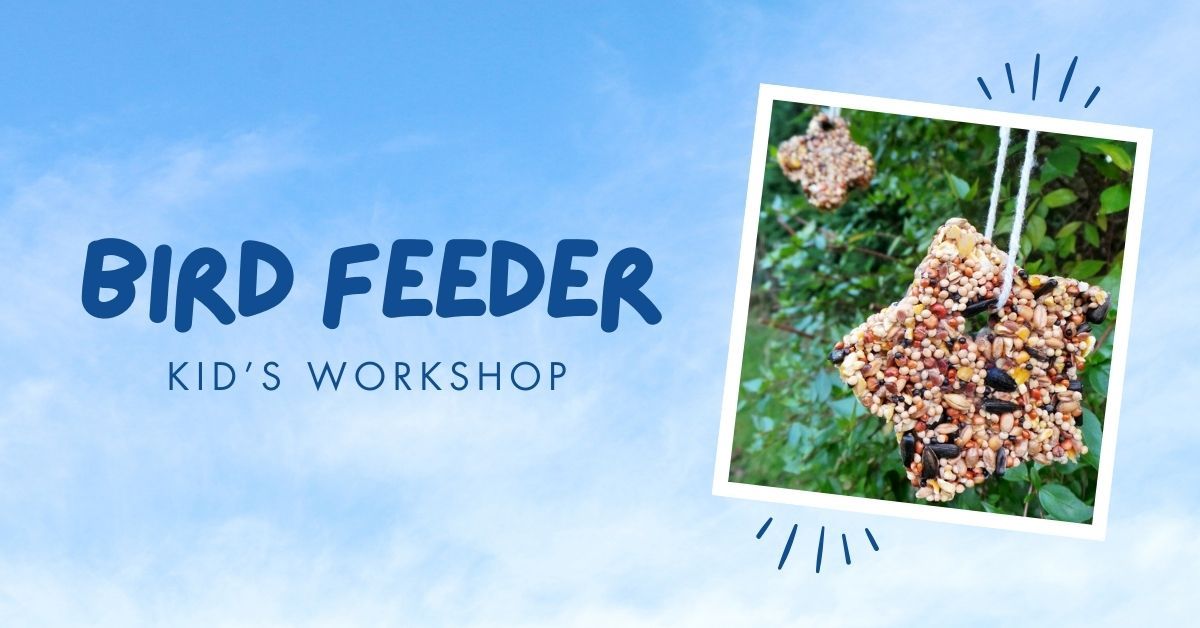 Kid's Workshop | Create a Bird Feeder