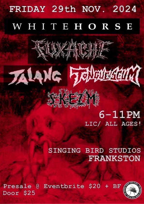 FUXACHE (NT) \/\/ WHITEHORSE \/\/ JALANG \/\/ TONGUESCUM \/\/ SKEZM \/\/ SINGING BIRD STUDIOS 29th NOV. 2024