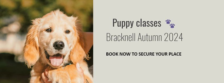 \ud83d\udc3e Autumn Puppy Classes \ud83d\udc3e