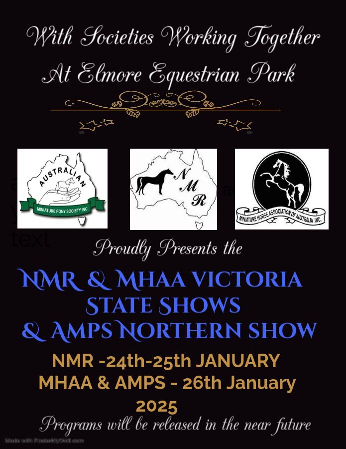 AMPS Northern Show 