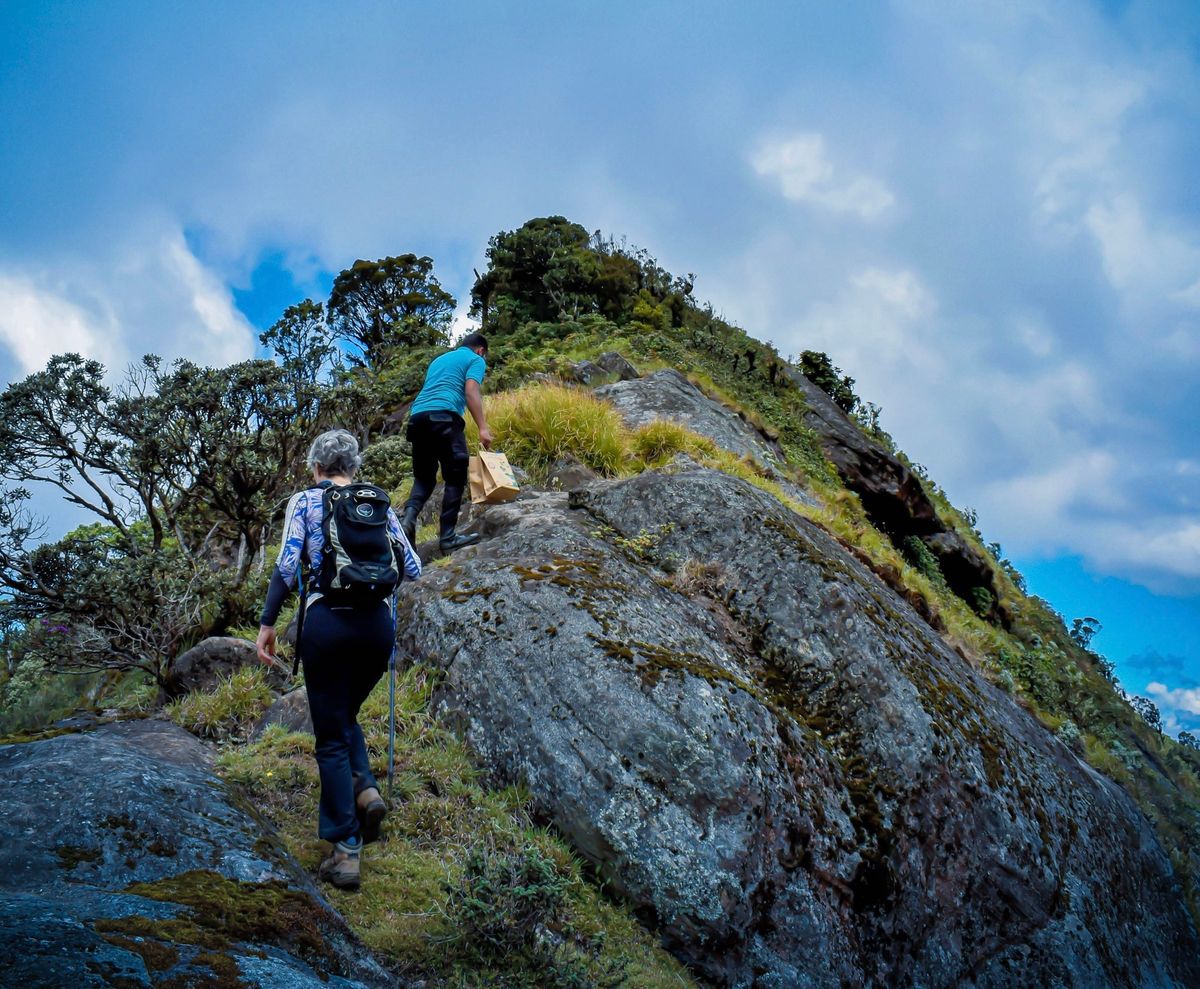 Kirigalpoththa Hike - 2nd Highest Peak in \ud83c\uddf1\ud83c\uddf0