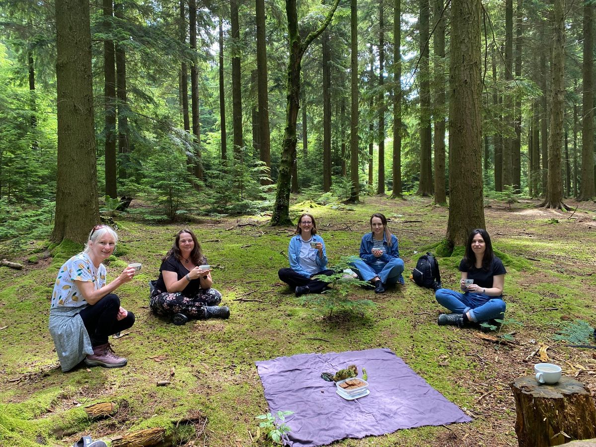 Mindful Meander - a Forest Bathing Experience