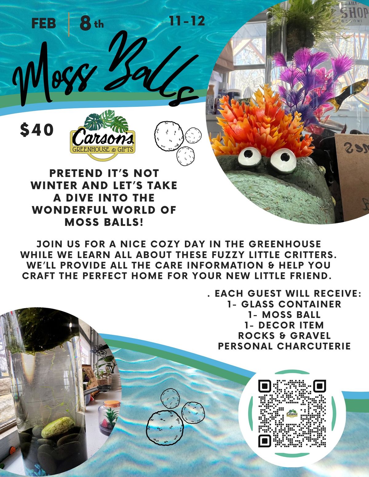 Moss Ball Workshop